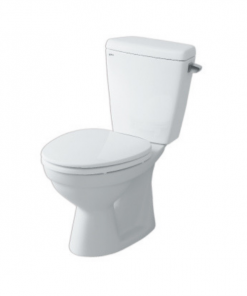 BÀN CẦU HAI KHỐI INAX C-117VA/BW1